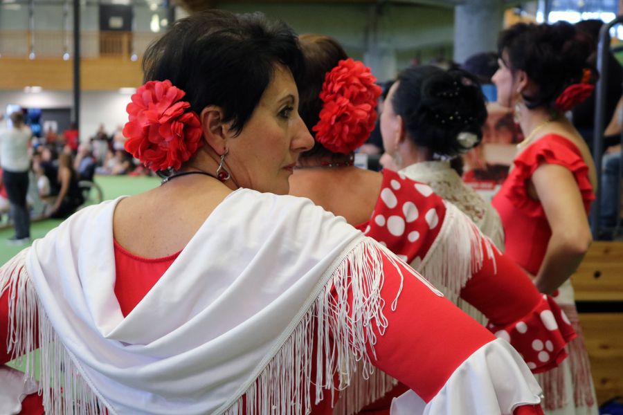 Foto: Flamenco – hier der klassisch spanische – vorgeführt beim Tanz aller Kulturen im letzten Jahr. 